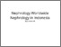 [thumbnail of 20. Nephrology Worldwide Nephrology in Indonesia_Turnitin.pdf]