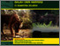 [thumbnail of 1. a.1. Identifikasi Kantong Habitat Gajah Harimau Sumsel (78-hal) compressed.pdf]