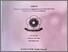 [thumbnail of RAMA_70201_07031382126269_cover.jpeg]