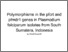 [thumbnail of Polymorphisms in the pfcrt and pfmdr1 genes in Plasmodium falciparum isolates from South Sumatera, Indonesia (1).pdf]